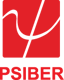 Psiber Data Systems